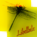 logo La Libellule